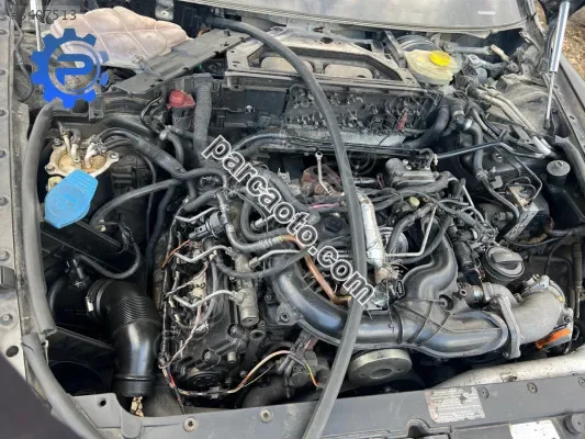 Pheaton motor beyni