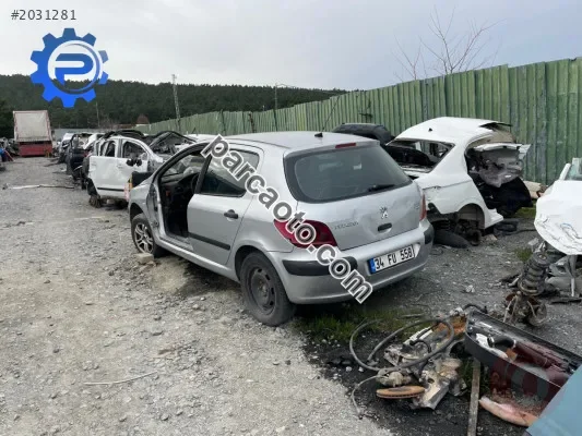 307 tavan parça parça orjinal