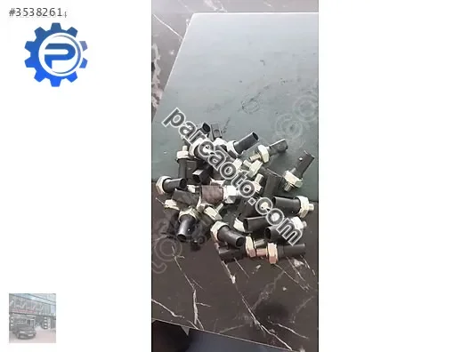 Müşür adet fiyatı
