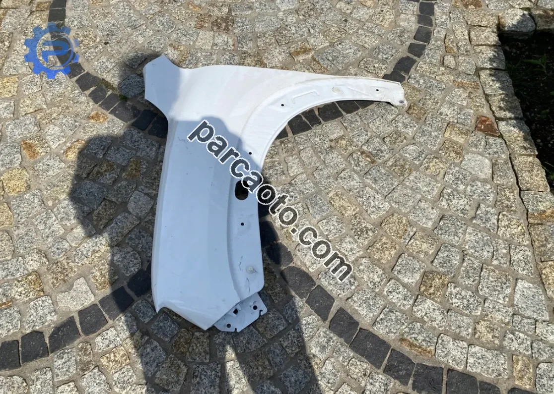 Dacia Spring Çamurluk - Mersin Tarsus