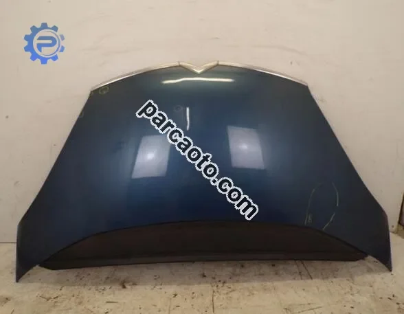 Citroen C4 Grand Picasso Kaput - Mersin Tarsus