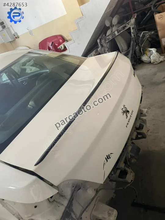 Peugeot 301 bagaj kapağı orjinal çıkma