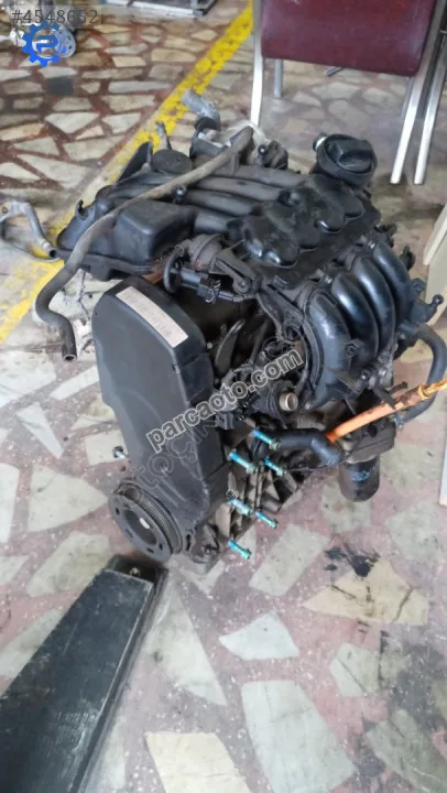 Polo motor
