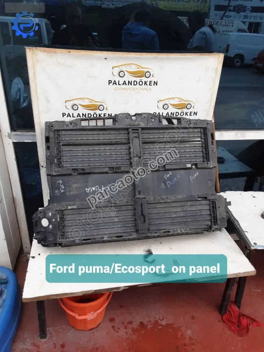 Ford puma/Ecosport on panel