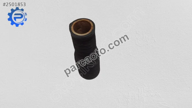 Temsa Safir Hortum - Samsun Merkez