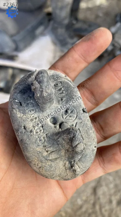 3C0823544 vw passat b6 koruma keçesi 3C0823544 vw passat b6 koruma keçesi