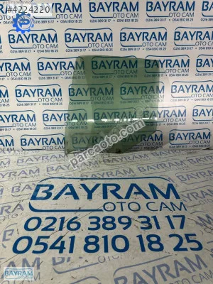 Renault Taliant Kapı Camları - İstanbul Anadolu Kartal