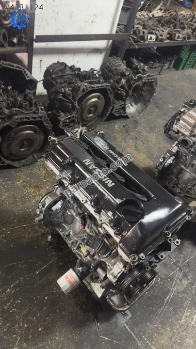 Primera SR20 Motor