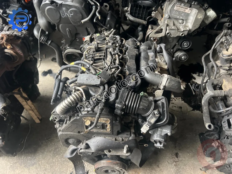 Ford Focus Motor - Ankara Yenimahalle