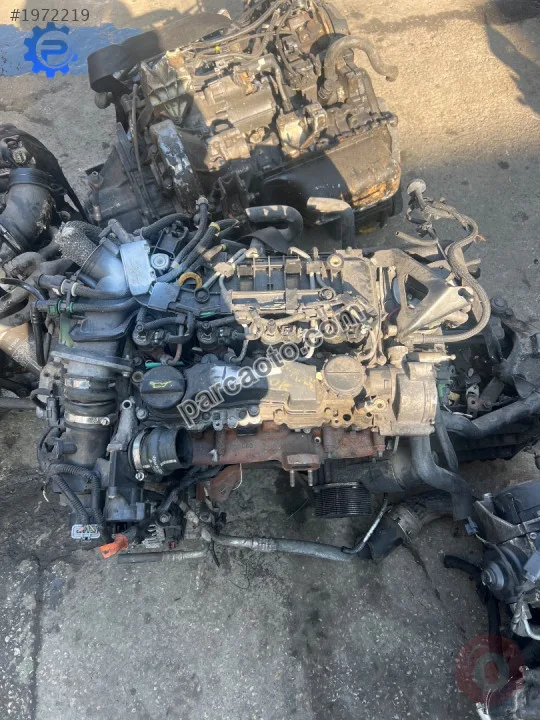 Ford Focus Motor - Ankara Yenimahalle