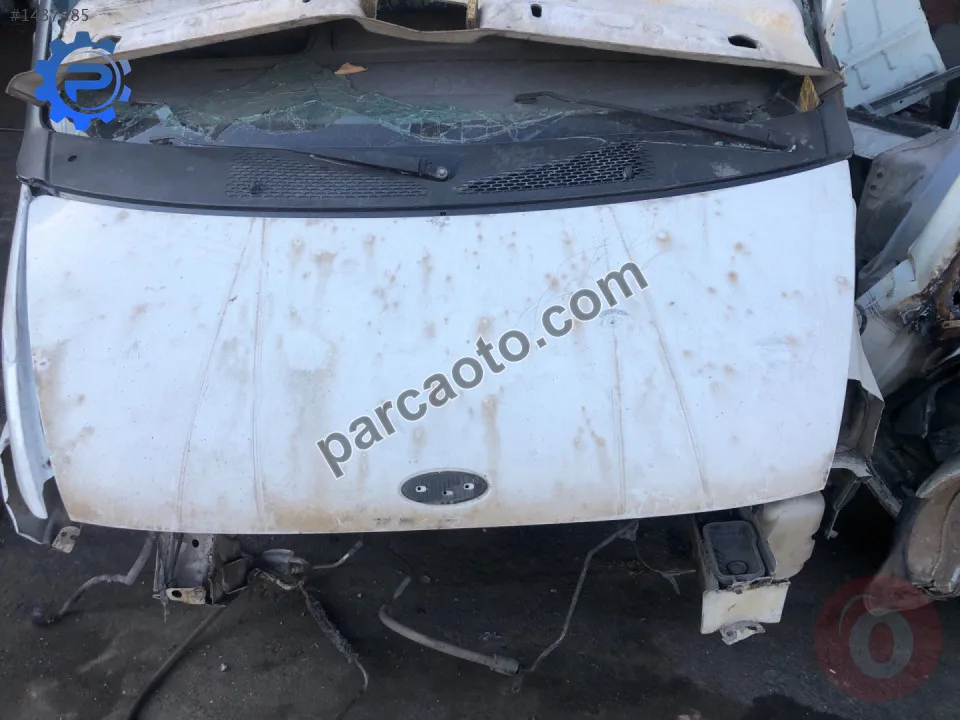 Transit V184 Çıkma Ön Kaput Beyaz