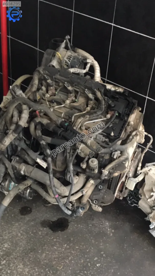 Ford Transit Motor - Ankara Yenimahalle