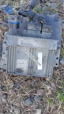 Pejo 206 1.4 benzinli  motor beyni çıkma