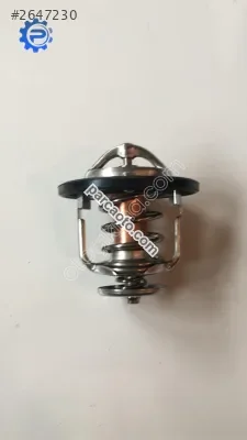 Nissan Terrano Partikül Filtresi - İzmir Bornova