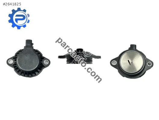 Hyundai Valf Kontrol Yağ Selenoit Picanto 1,0 18-20/İ30 1,4 14-
