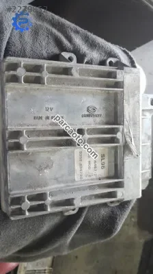 Pejo 406 1.8 motor beyni çıkma