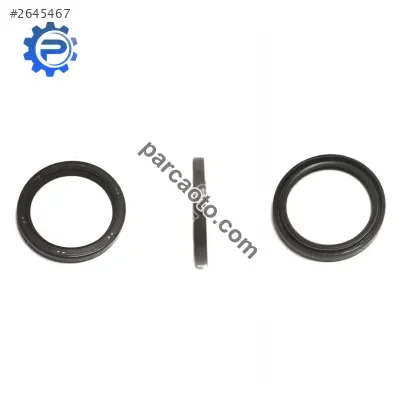 Nissan Navara Krank Kasnağı - İzmir Bornova