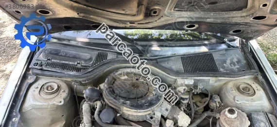 R19 Europa Cam Önü Izgarası Oem