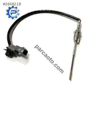 Nissan Pathfinder Partikül Filtresi - İzmir Bornova