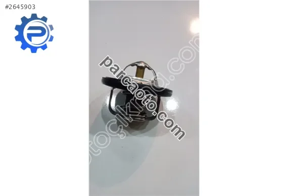 Suzuki Swift Termostat - İzmir Bornova