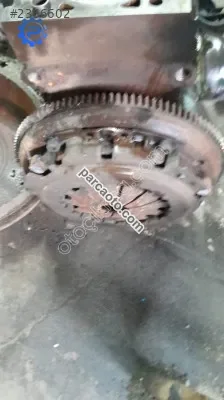 Marea brava bravo baski balata volant orjinal çıkma